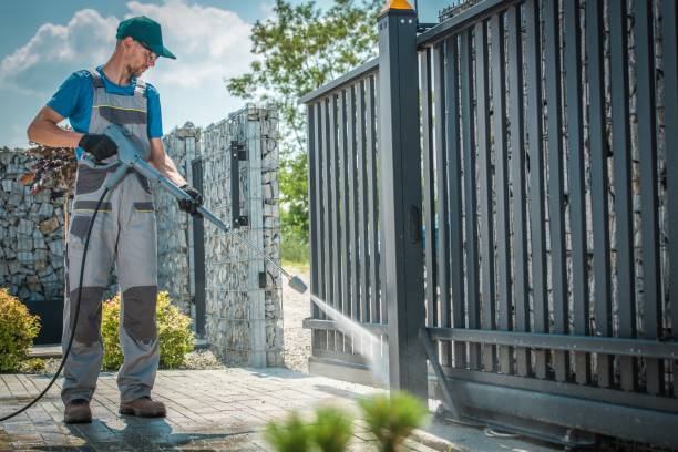 Best Roof Cleaning and Mildew Removal in Butler, IN